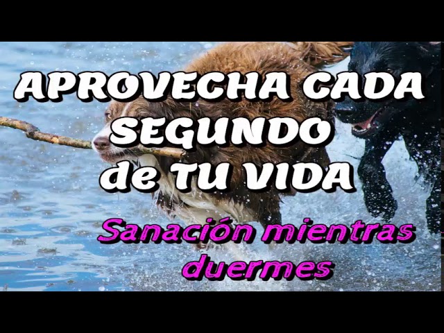 aprovecha cada segundo de tu vida