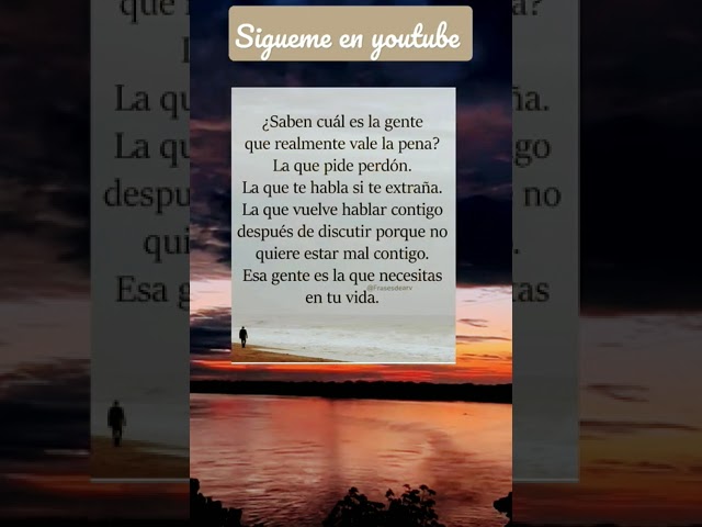 carta para pedir perdon a un amigo especial