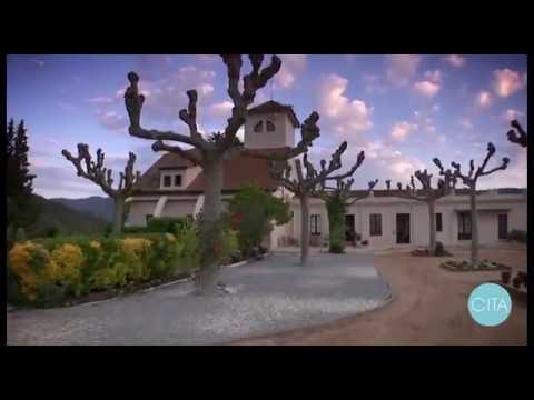 cita centro de investigación y tratamiento de adicciones