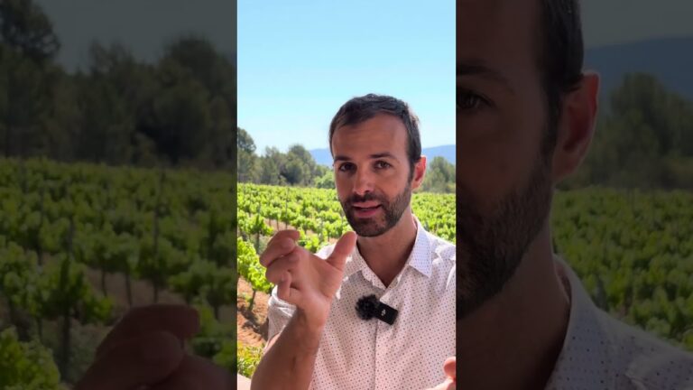 como hago para que me echen del trabajo