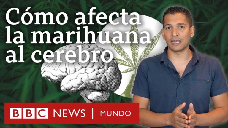 como quitar efectos de la marihuana
