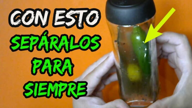 como separar a una pareja de novios para siempre