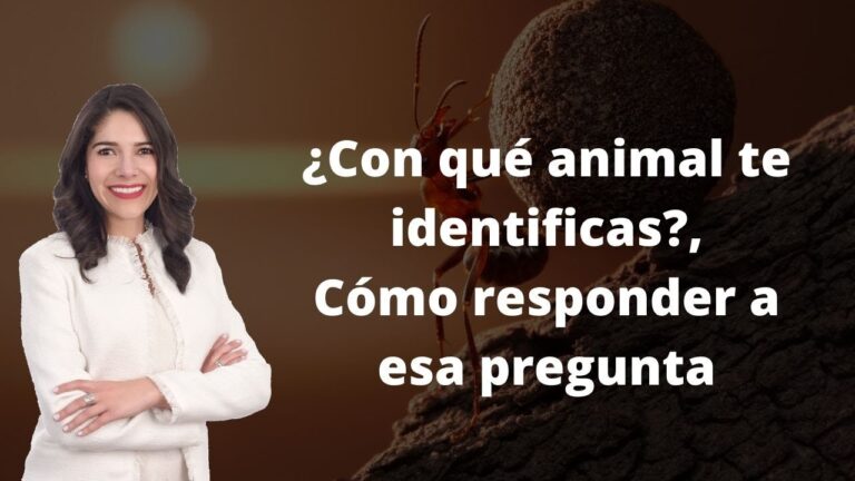 con que animal te identificas psicologia