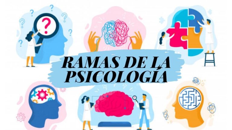 cuantas ramas tiene la psicologia y cuales son