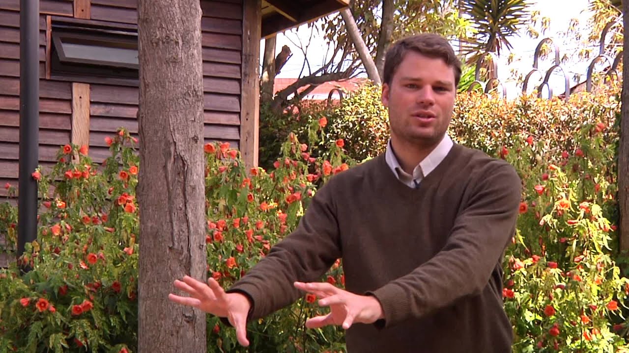 culpar a los demas es no aceptar