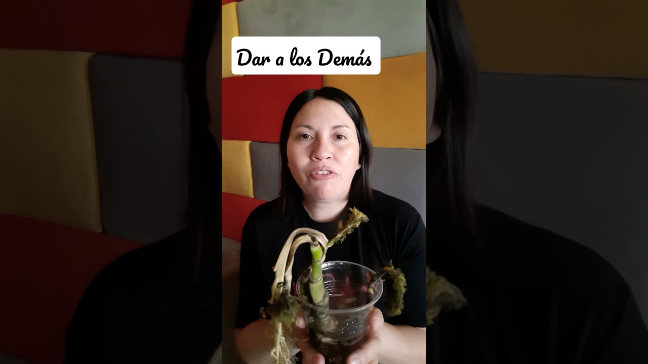 dar mucho no siempre es bueno