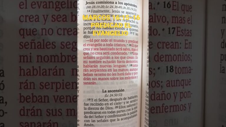 dios llama a todas las personas para que vivan una