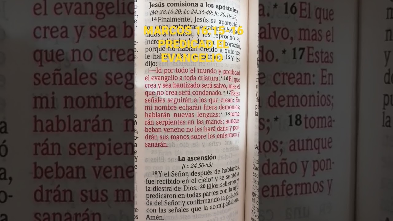 dios llama a todas las personas para que vivan una