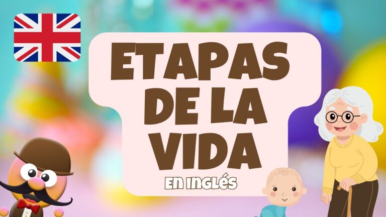etapas de la vida ingles