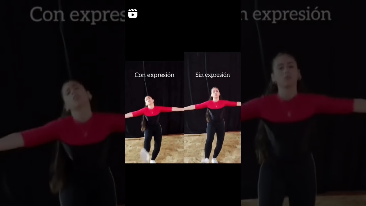 expresar una idea en un medio fisico