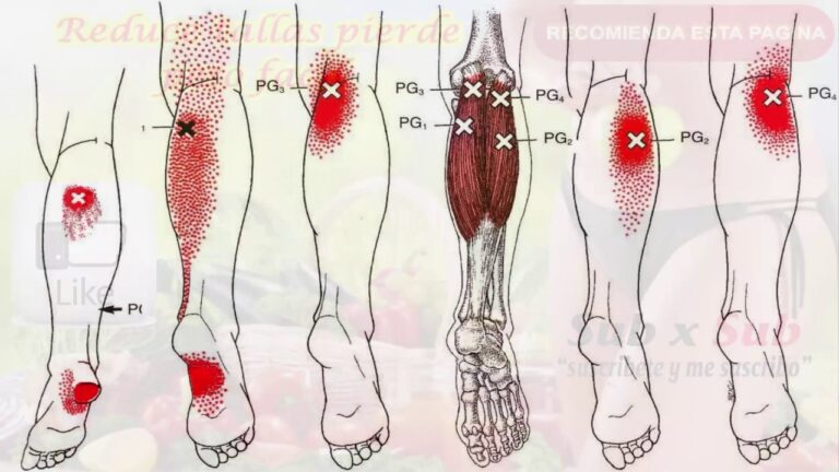 fibromialgia la enfermedad de las emociones