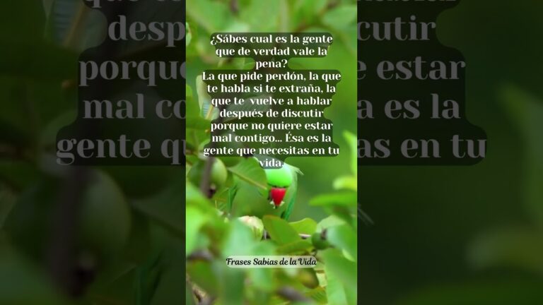 frases para gente que no merece la pena