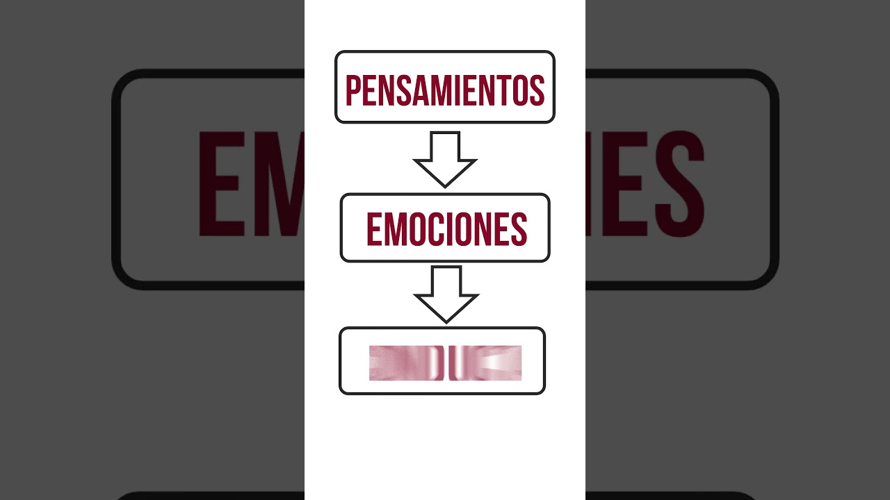 instituto mexicano de psicoterapia cognitivo conductual
