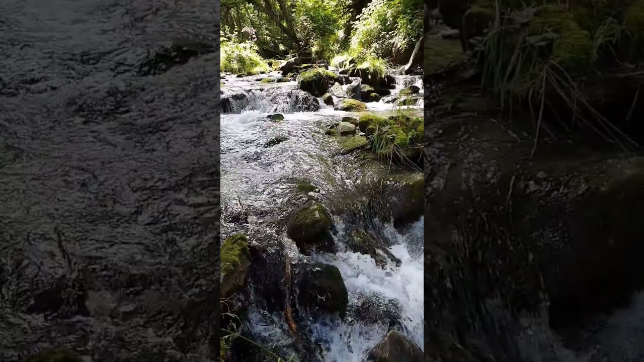 la vida es eso que pasa