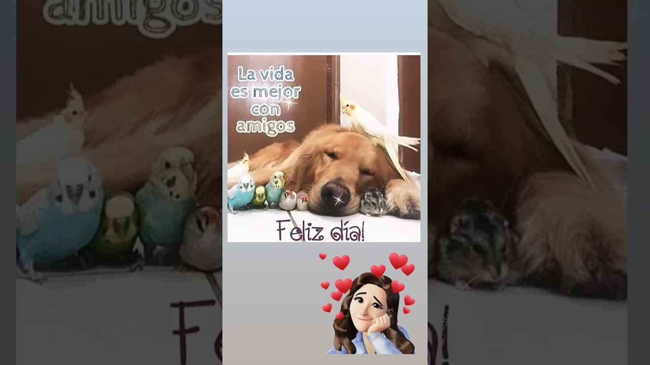 la vida es mas bonita con amigos