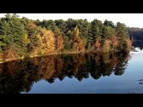 los 12 sintomas del despertar de la conciencia