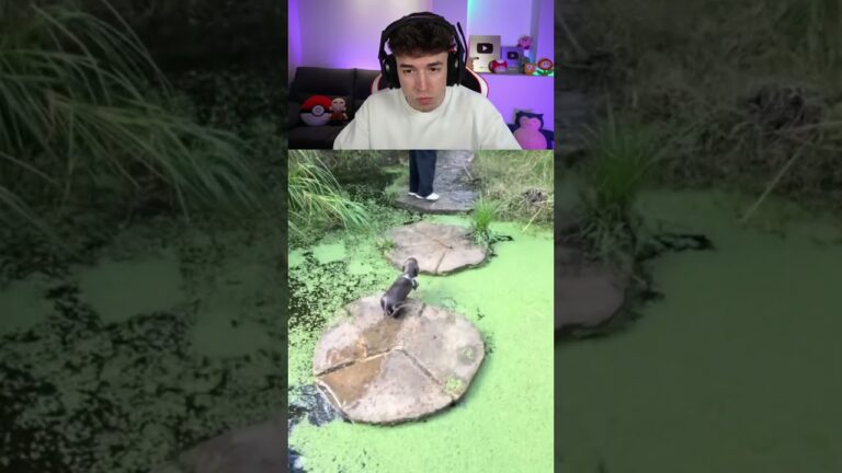 los errores te hacen mas fuerte