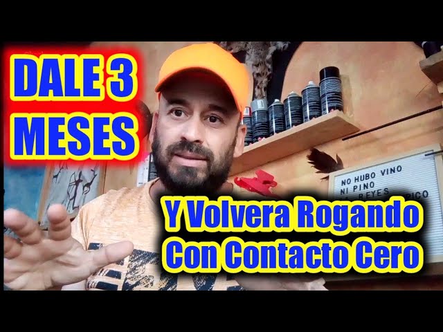 mi ex volvio despues de 3 meses