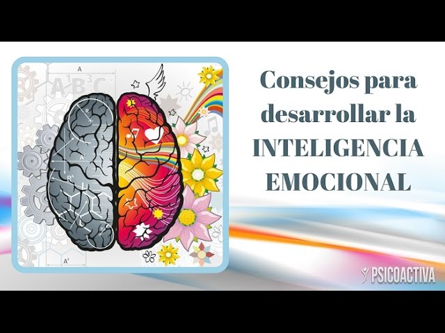 principios basicos de la inteligencia emocional