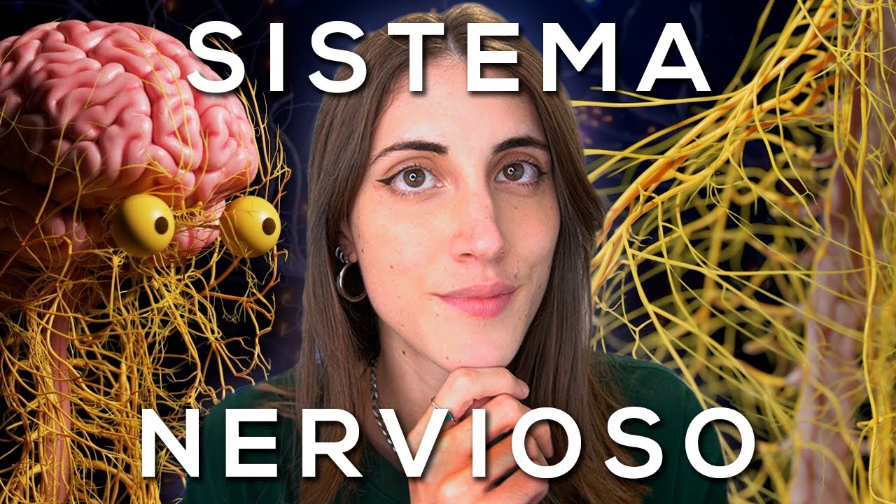 psicosomaticos relacion con el sistema nervioso