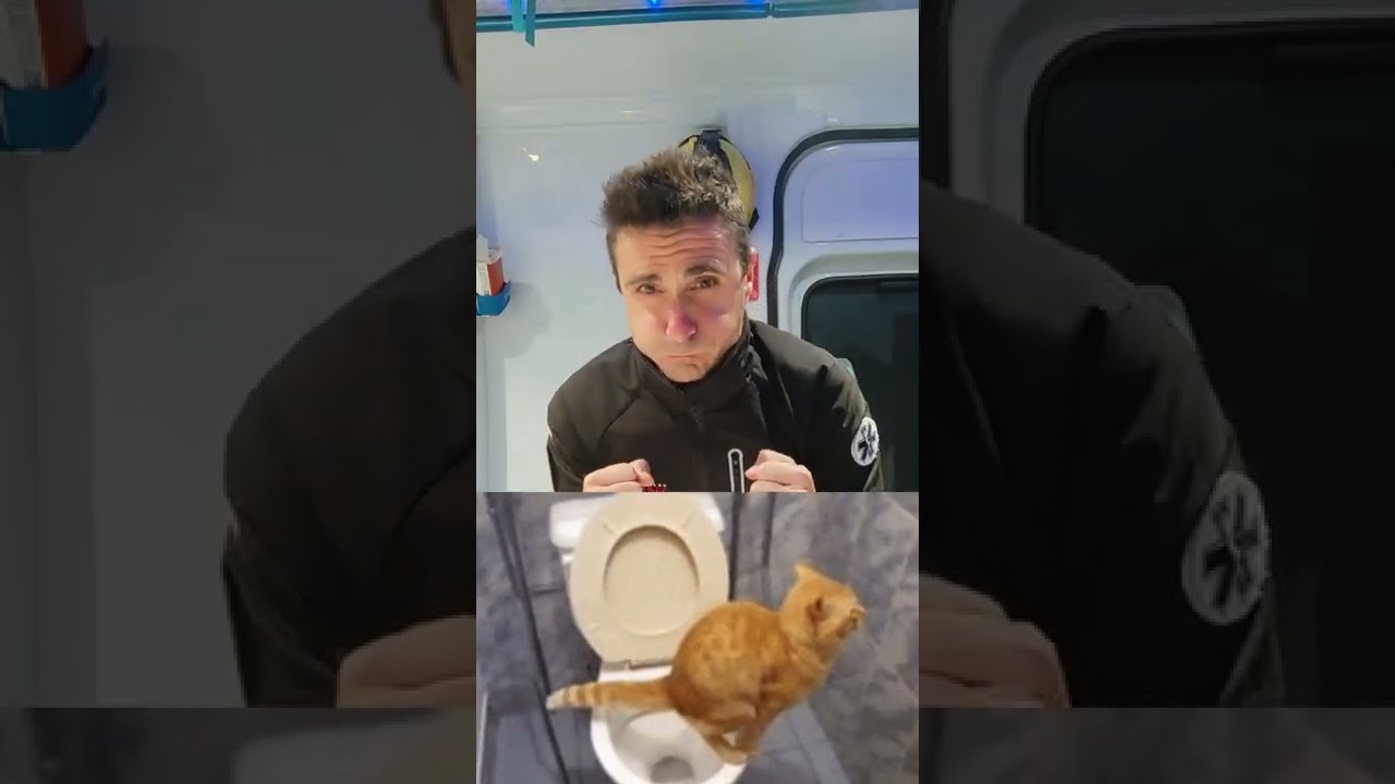 pulso acelerado y dolor de cabeza