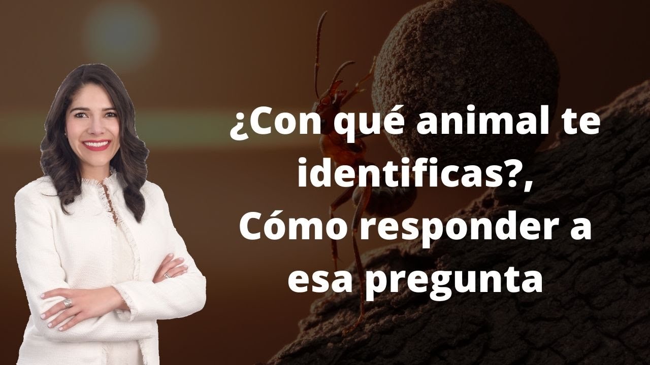 que animal serias y porque psicologia