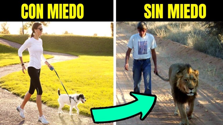 que pasaria si no tuvieras miedo