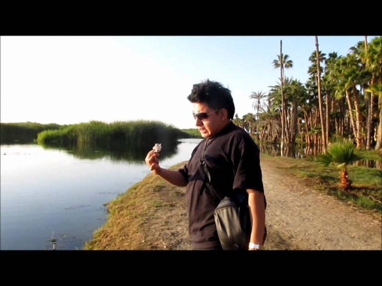 quien es algo y nada a la vez