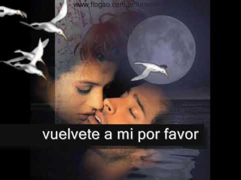 quiero encontrar el amor vuelve a mi por favor