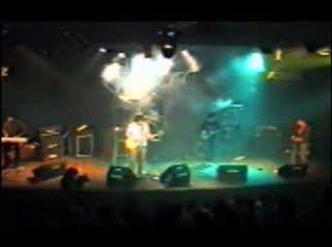 si no hay celos no hay amor