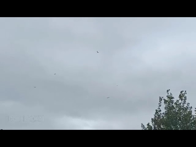 sigue tu camino y deja que la gente hable