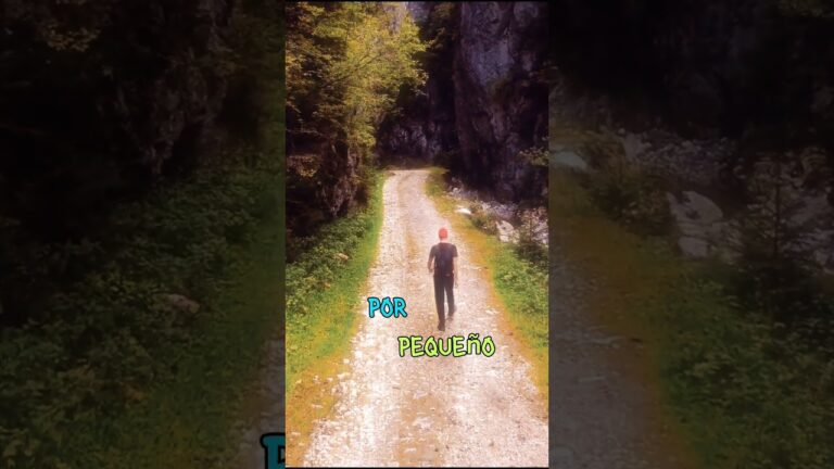 todo gran viaje comienza con un pequeño paso