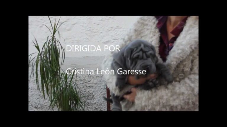 un año 12 meses 52 semanas 365 dias